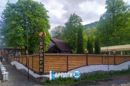 Ресторан Гагарін та Бокораш