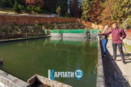 готель Арніка