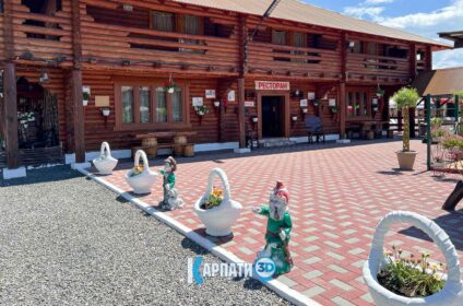 Білий Аіст Соллотвино