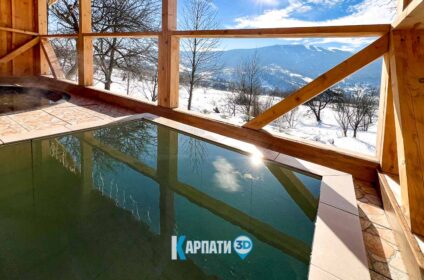 Чан у Вишка