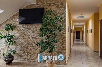 Ужгород готель на Підградській