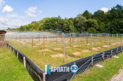 Равликова ферма