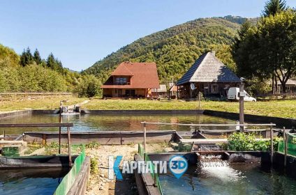 Форелева садиба Колочава водойми