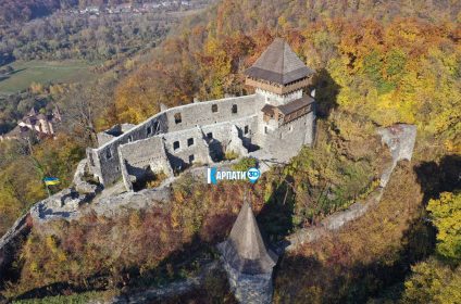 Невицький замок