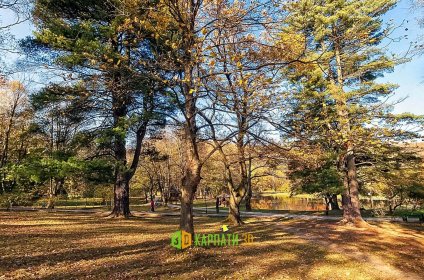 Віртуальна екскурсія Золота Осінь у Карпатах