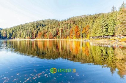 Віртуальна екскурсія Золота Осінь у Карпатах Відпочинок у Карпатах у 3Д