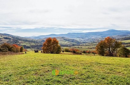 Віртуальна екскурсія Золота Осінь у Карпатах Відпочинок у Карпатах у 3Д