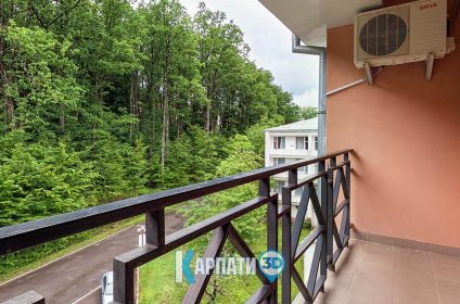 Сонячна Поляна. санаторій у Сонячне Закарпаття