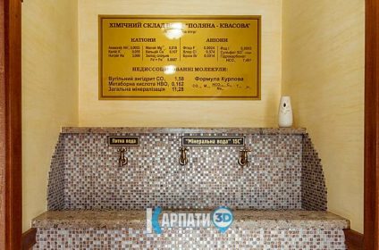 Готель Сонячний Промінь у курорті Поляна