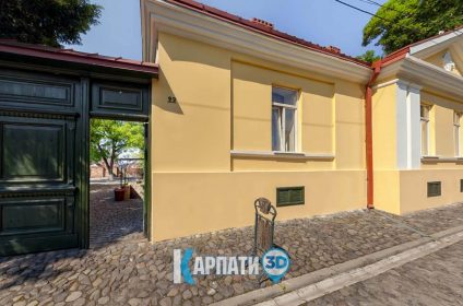 Домінія Панових