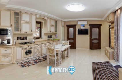 Виноградів котедж