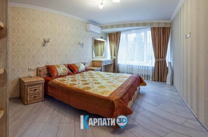 Виноградів котедж