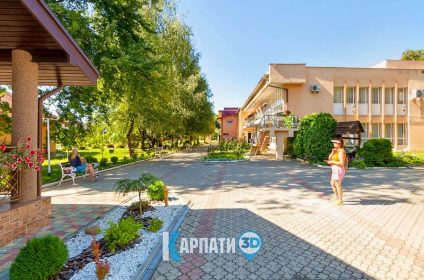 Санаторій Теплиця Виноградів санаторий теплица Виноградов