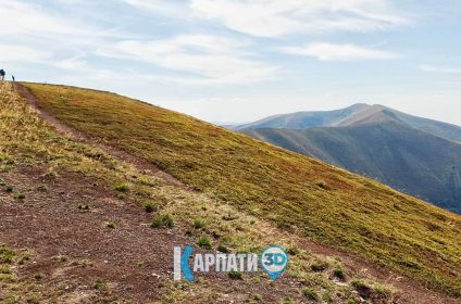 Боржавський хребет, полонина Боржава