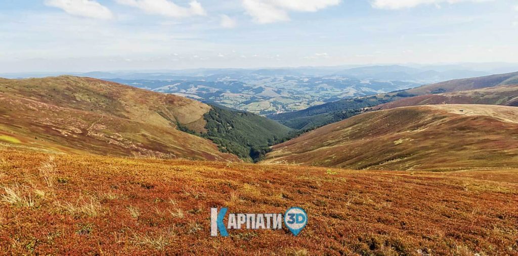 Боржавський хребет, полонина Боржава