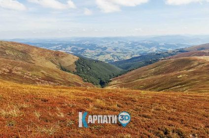 Боржавський хребет, полонина Боржава