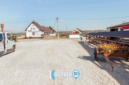 Буйволина ферма Карпатський буйвіл