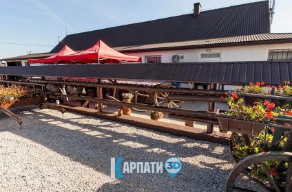 Карпатський буйвіл Буйволина ферма