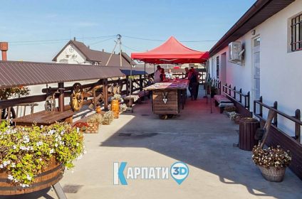 Карпатський буйвіл